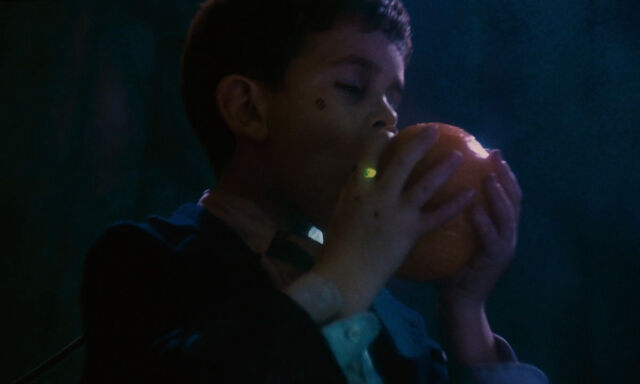 File:James-giant-peach-disneyscreencaps com-2153.jpg
