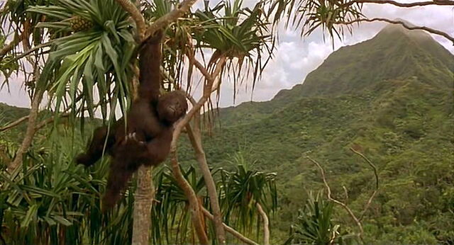 File:Mighty-joe-young-disneyscreencaps.com-23.jpg