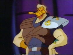 Canard