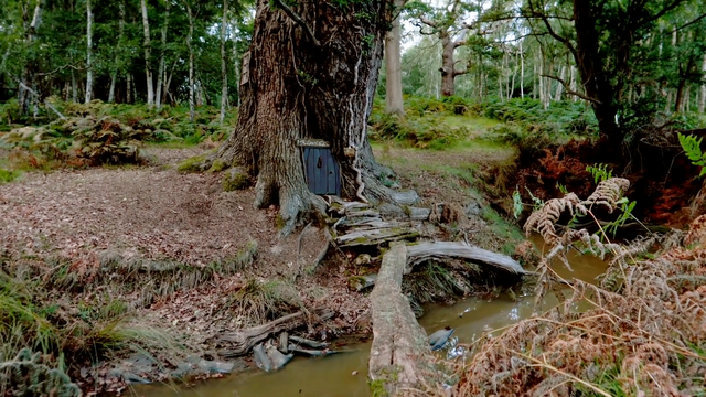 File:Picture 1.png