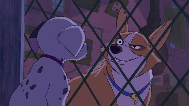File:101-dalmatians-2-disneyscreencaps.com-6097.jpg