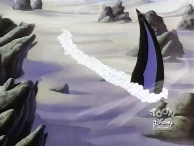 File:Sand Shark 43.jpg