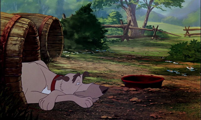 File:Fox-and-the-hound-disneyscreencaps.com-1700.jpg