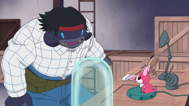 File:ScreenCapture 11.05.13 21-24-15.jpg