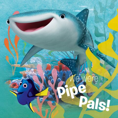 File:Shark 1.jpg