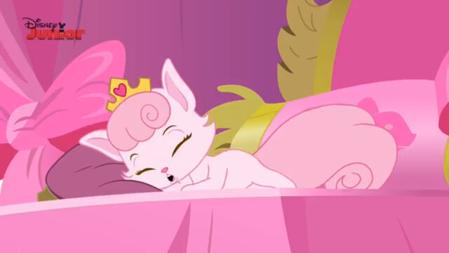 File:Dreamy sleeping in bed.jpg