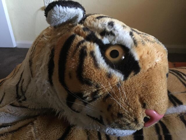 File:Orangestripes.jpg