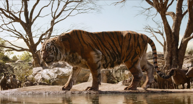 File:Jungle Book 2016 37.png