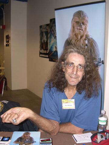 File:PeterMayhew11.14.08ByLuigiNovi1.jpg