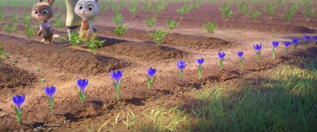 File:Zootopia Bunnyburrow Night howlers.png