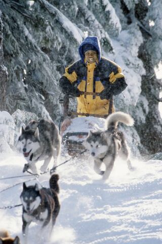 File:2002 snow dogs 002.jpg