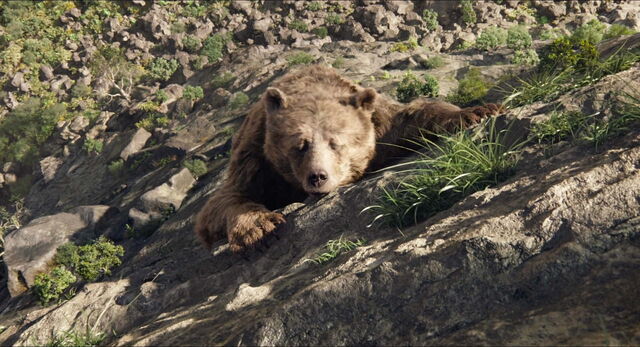 File:Jungle-book-2016-disneyscreencaps.com-7635.jpg