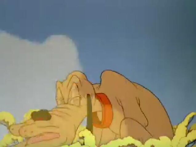 File:Springtime For Plutosneeze.jpg