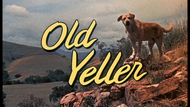 File:Old Yeller Title Card.jpg