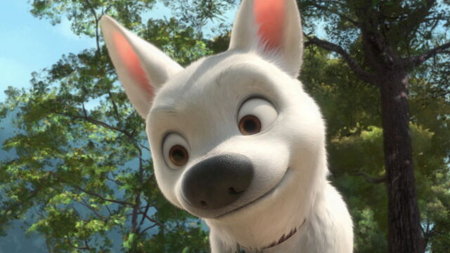 File:Bolt-disneyscreencaps.com-4744.jpg