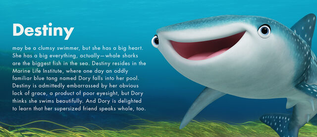 File:Finding Dory Character Profiles 03.jpg