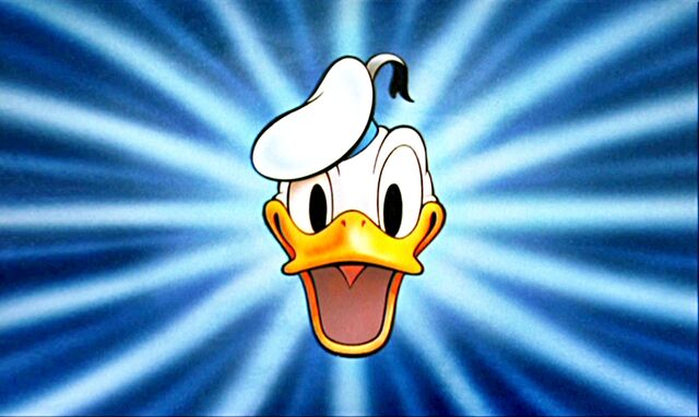 Datei:Walt-disney-screencaps-donald-duck-walt-disney-characters-image.jpg