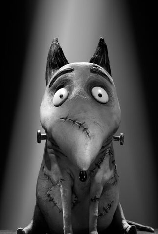 File:Sparky.jpg