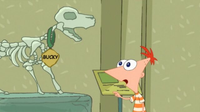 File:We Had A Dog Named Bucky.jpg
