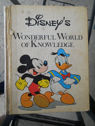File:1357128952 468863989 1-Disneys-Wonderful-World-of-Knowledge-Sinoville.jpg