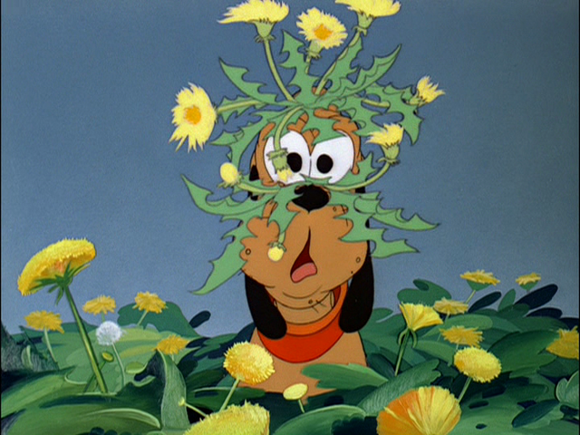 File:Tumblr m2lue8iuo91r3jmn6o1 1280.png