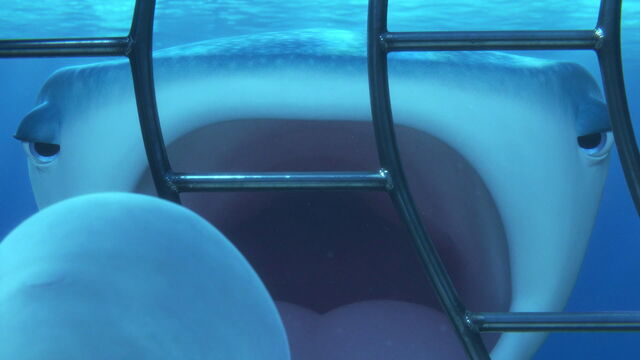 File:Finding-dory-disneyscreencaps.com-3739.jpg
