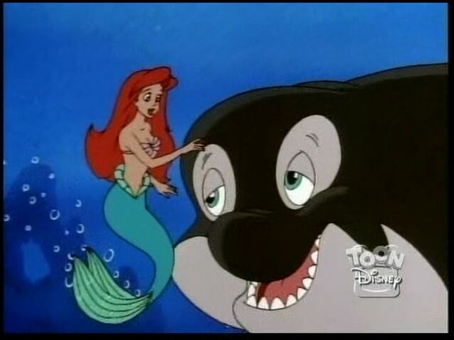 File:Savethewhale181.jpg