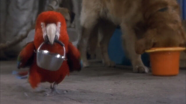 File:102-dalmatians-disneyscreencaps com-951.jpg