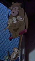 Monos Dumbo.png
