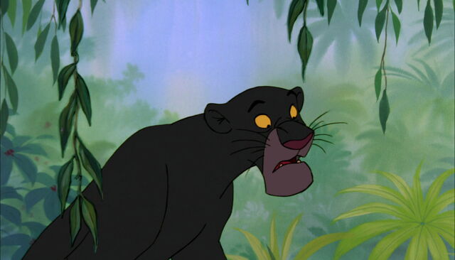File:Bagheera The Black Panther 23982922002.jpg