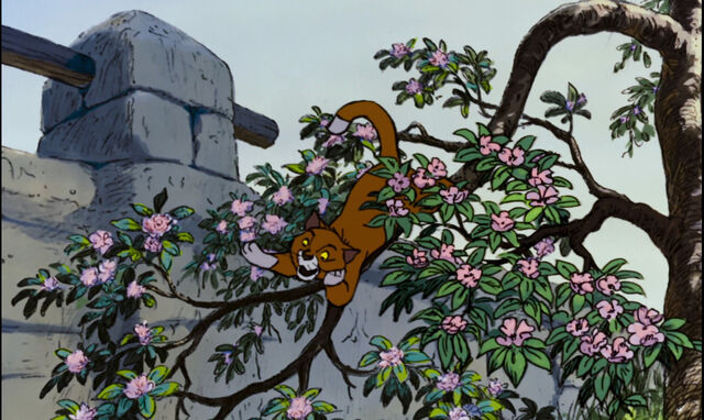 File:Aristocats-disneyscreencaps com-3027.jpg