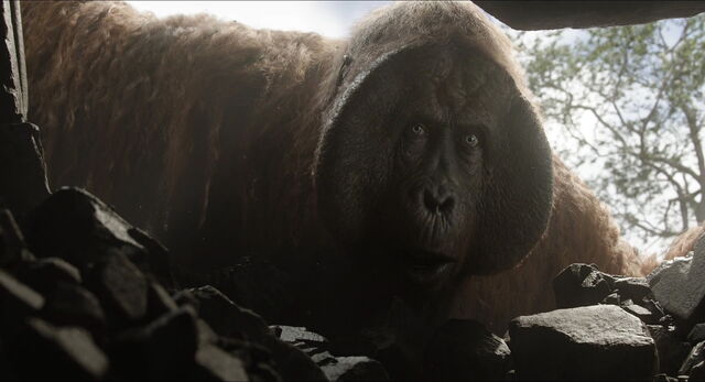 File:Jungle-book-2016-disneyscreencaps.com-8777.jpg