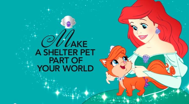 File:Shelter Pet Project Princess.jpg