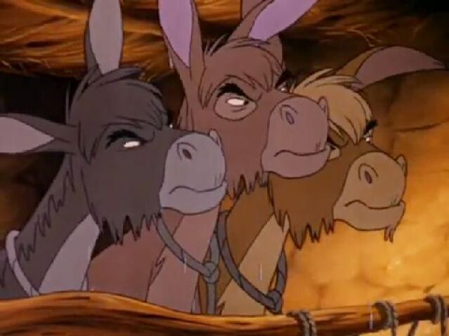 File:3donkeyslook.jpg