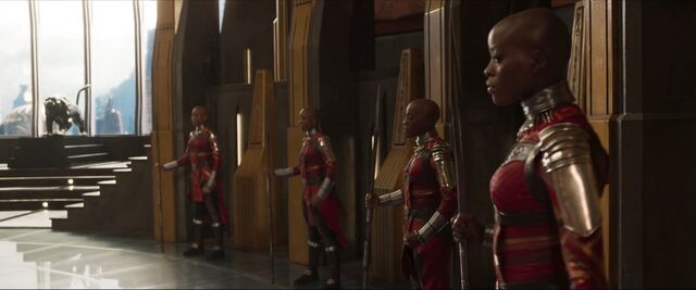 File:Black Panther (film) 37.jpg