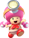 Toadette CaptainToadTreasureTracker