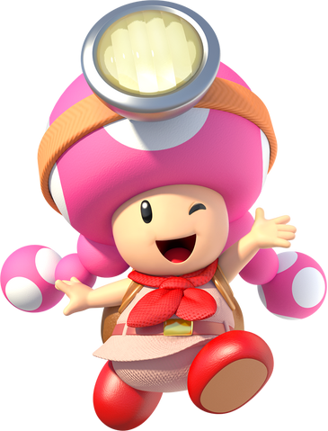 File:Toadette CaptainToadTreasureTracker.png