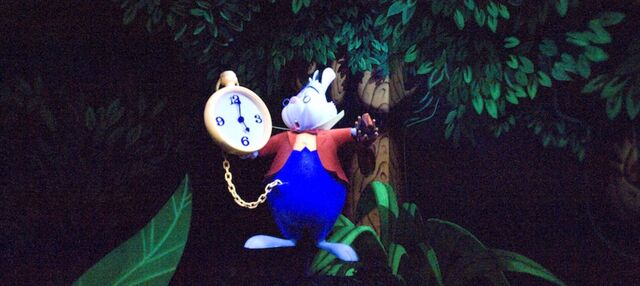 File:Image white rabbit.jpg