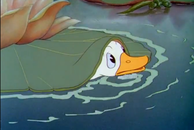 File:Peek.png