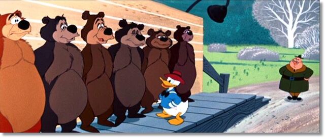 File:Beezybear06.jpg