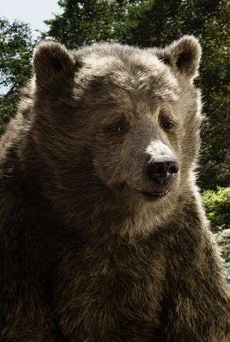 File:The Jungle Book Textless Character Poster 02.jpg