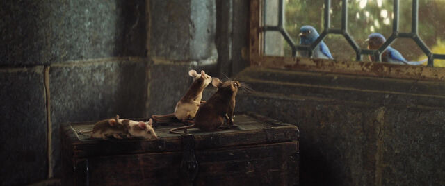 File:Cinderell-2015-disneyscreencaps.com-10621.jpg