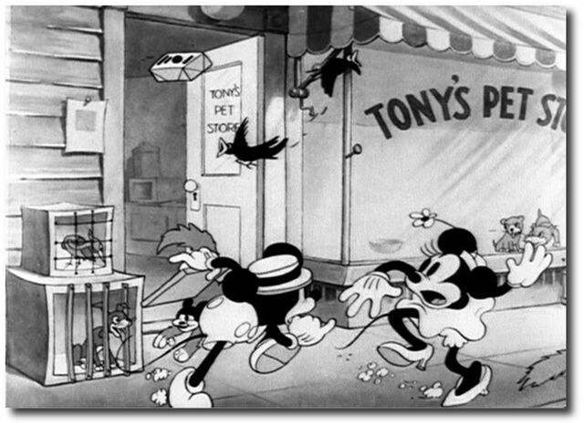 File:19512.jpg
