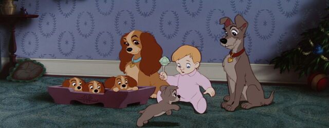 File:Lady-tramp-disneyscreencaps.com-8501.jpg