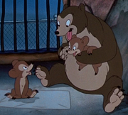 Osos Dumbo.png