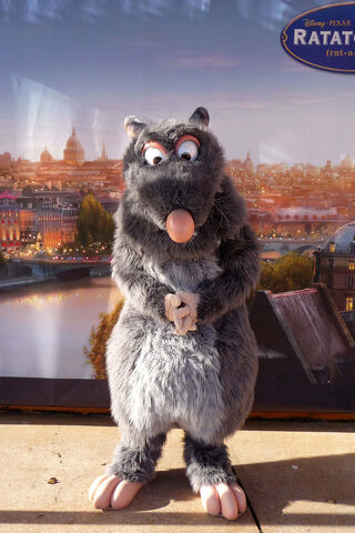 File:Remy DLP.jpg