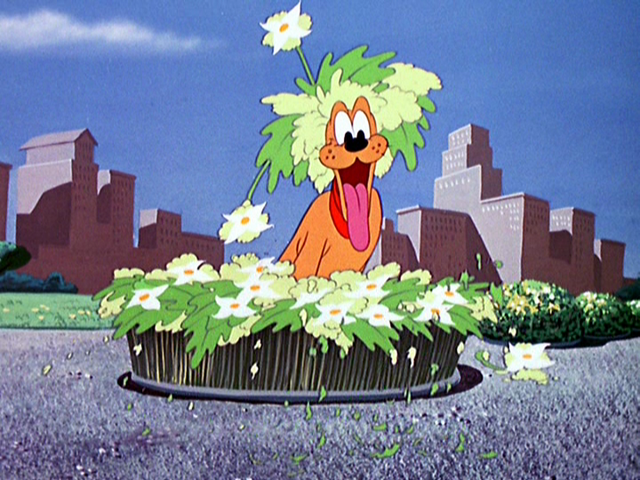 File:Tumblr m0aa3vUGIj1r3jmn6o1 1280.png