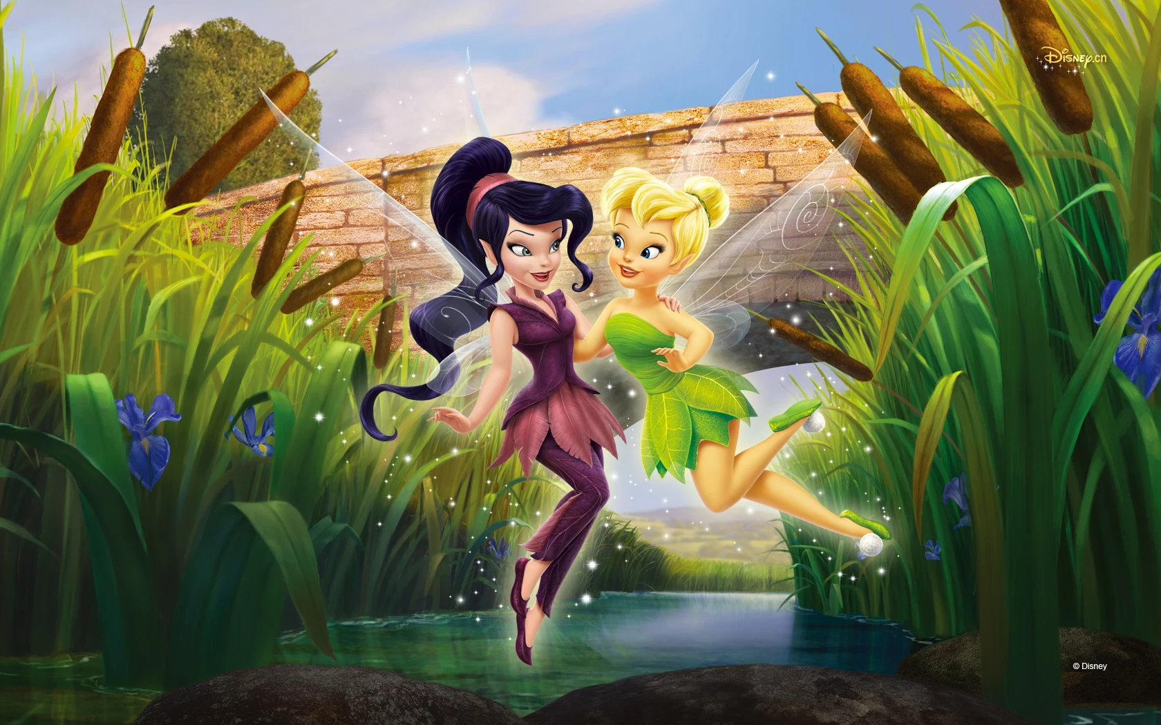Image Vidia and Tinker Bell.jpg Disney Wiki FANDOM powered by Wikia