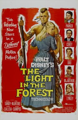 1958-lueurforet-1