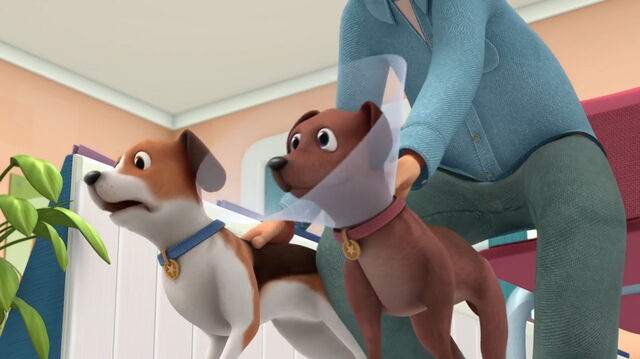 File:Two dogs barking.jpg